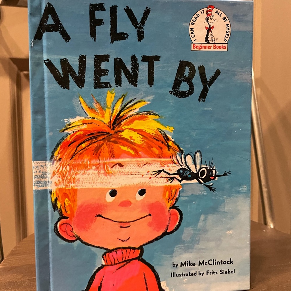 Dr Suess A Fly Went By Book